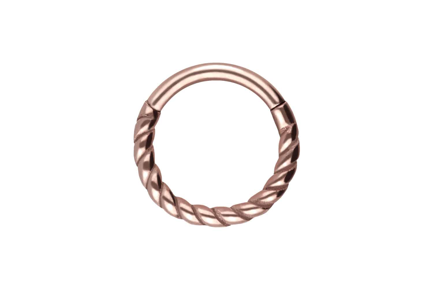 Chirurgenstahl Segmentring Clicker Piercing GEDREHT